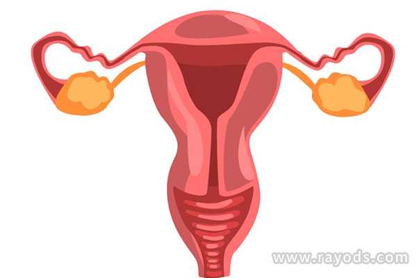 关于多囊卵巢综合征(PCOS)的5个知识点
